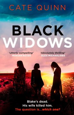 Black Widows (eBook, ePUB) - Quinn, Cate