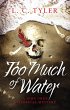 Too Much of Water (eBook, ePUB) - Bild 1