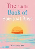 The Little Book of Spiritual Bliss (eBook, ePUB)