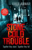 Stone Cold Trouble (eBook, ePUB)
