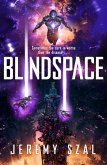 Blindspace (eBook, ePUB)