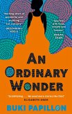 An Ordinary Wonder (eBook, ePUB)