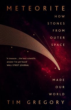 Meteorite (eBook, ePUB) - Gregory, Tim