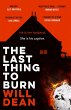 The Last Thing to Burn (eBook, ePUB) - Bild 1