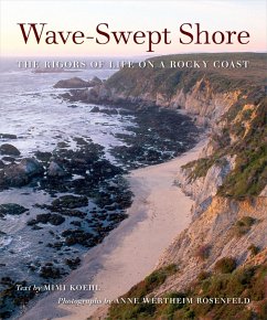 Cover Wave-Swept Shore (eBook, ePUB)