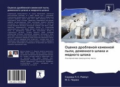 Cover Ocenka droblenoj kamennoj pyli, domennogo shlaka i mednogo shlaka
