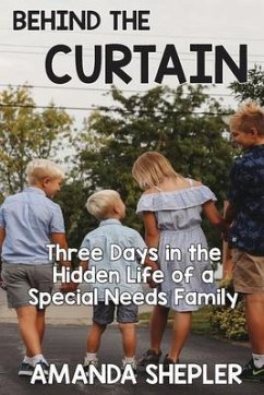 Cover Behind the Curtain (eBook, ePUB)