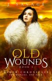 Ryker Chronicles: Old Wounds (eBook, ePUB)