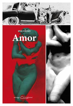 Amor (eBook, ePUB) - Clesis, Eva