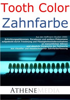 Schichtungsphänomen, Paradoxon und weitere Phänomene (eBook, ePUB) - Hoffmann, André