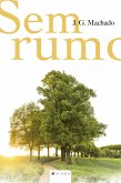 Sem rumo (eBook, ePUB)