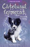 Catelusul Fermecat (eBook, ePUB)