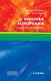 Uniunea Europeana (eBook, ePUB)