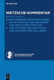 Kommentar zu Nietzsches "Unzeitgemässen Betrachtungen" (eBook, PDF)