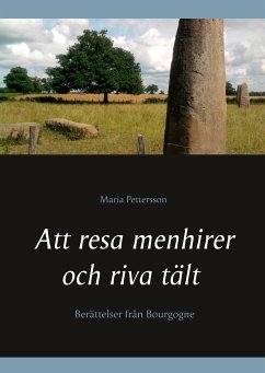 Att resa menhirer och riva tält (eBook, ePUB) - Pettersson, Maria