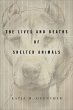 The Lives and Deaths of Shelter Animals... - Bild 1