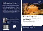 Behoud van de Egyptische mummie gevuld met katoen in de verpakking