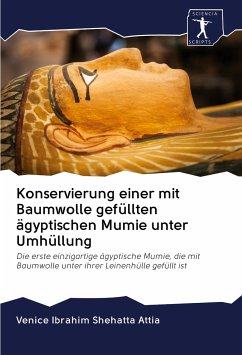Cover Konservierung einer mit Baumwolle gefüllten ägyptischen Mumie unter Umhüllung