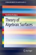 Theory of Algebraic Surfaces - Bild 1