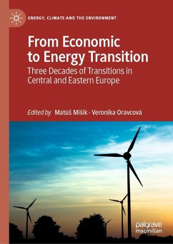 Cover From Economic to Energy Transition
