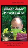 Bilder einer Pandemie (eBook, ePUB)