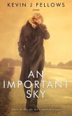 An Important Sky (eBook, ePUB) An Important Sky (eBook, ePUB)