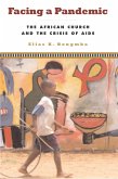Facing a Pandemic (eBook, PDF) Facing a Pandemic (eBook, PDF)