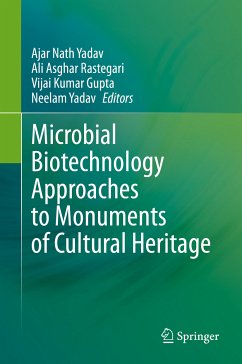 Microbial Biotechnology Approaches to Monuments of Cultural Heritage (eBook, PDF)