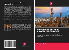 Correlação entre as Rochas Petrolíferas - Salih, Danyar