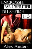 Engrossée par l&quote;héritier du Sheikh 1-3 (eBook, ePUB)