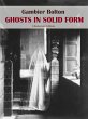 Ghosts in Solid Form (eBook, ePUB) - Bild 1