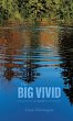 The Big Vivid - Bild 1