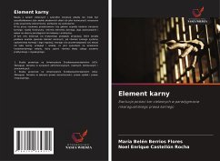 Element karny - Berrios Flores, María Belén;Castellón Rocha, Noel Enrique