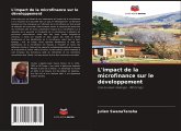 L'impact de la microfinance sur le développement