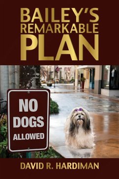 Bailey's Remarkable Plan - Hardiman, David