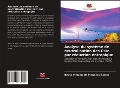 Cover Analyse du système de neutralisation des Cstr par réduction entropique