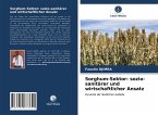 Sorghum-Sektor: sozio-sanitärer und wirtschaftlicher Ansatz