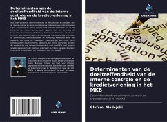 Determinanten van de doeltreffendheid van de interne controle en de kredietverlening in het MKB - Aladejebi, Olufemi