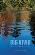 The Big Vivid - Bild 1