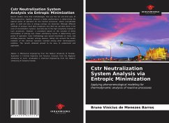 Cstr Neutralization System Analysis via Entropic Minimization - de Menezes Barros, Bruno Vinícius