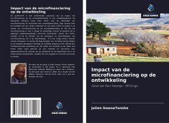 Impact van de microfinanciering op de ontwikkeling - SwanaTansha, Julien