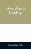 A history of Egypt in the Middle Ages