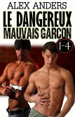 Le dangereux mauvais garçon 1-4 : Tabou gay érotique de mâle Alpha dominant (eBook, ePUB)