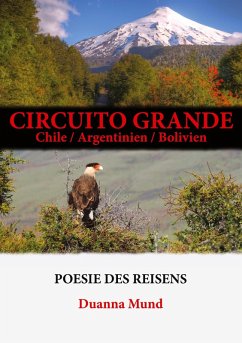Circuito grande (eBook, ePUB)