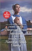 Dangerous Amish Inheritance and Hidden in Amish Country (eBook, ePUB)