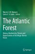 The Atlantic Forest - Bild 1