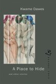 A Place to Hide (eBook, ePUB)