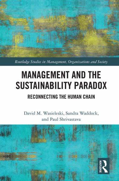Management and the Sustainability Paradox (eBook, ePUB)