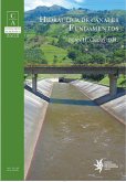 Hidráulica de canales: fundamentos (eBook, ePUB)
