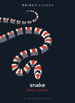 Cover Snake (eBook, PDF)